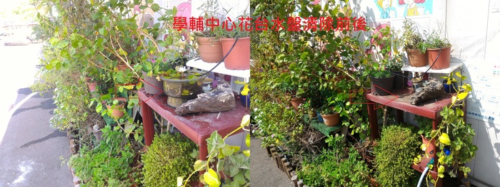 1學輔中心花台圖片